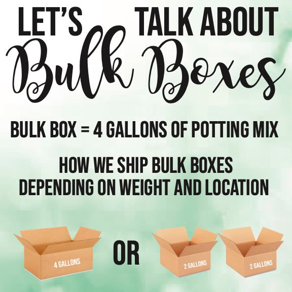 Avocado Tree Premium Potting Mix