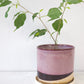 Burgundy Ceramic Plant Pot and Saucer