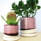 Burgundy Ceramic Plant Pot and Saucer