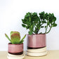 Burgundy Ceramic Plant Pot and Saucer