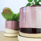Burgundy Ceramic Plant Pot and Saucer
