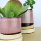 Burgundy Ceramic Plant Pot and Saucer