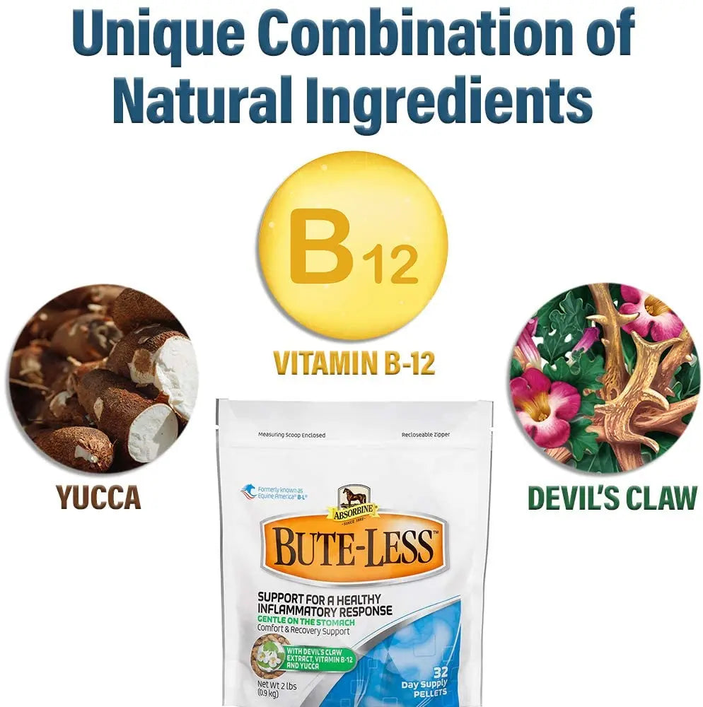 Bute-Less Comfort & Recovery Joint Supplement with B-12 for Horses