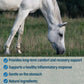 Bute-Less Comfort & Recovery Joint Supplement with B-12 for Horses