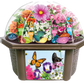 Bountiful Butterfly Garden Biosphere Terrarium