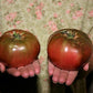 100 Organic PURPLE CHEROKEE TOMATO Lycopersicon Lycopersicum Fruit Vegetable Seeds