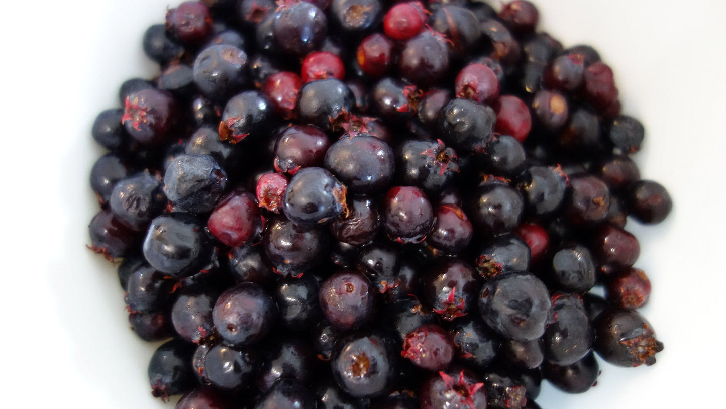 20 SASKATOON SERVICEBERRY aka Western, Pacific, Juneberry, Shadbush Amelanchier Alnifolia Native Edible Purple Berry Fruit White Flower Shrub Seeds