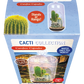 Cacti Collection Glass Terrarium Seed Starting Kit