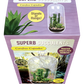 Superb Succulents Glass Terrarium Seed Starting Kit
