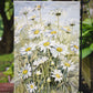 Daisies by Bettie Cheesman Garden Flag – Decorative Outdoor Yard Flag CBC0043GF