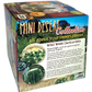 Mini Desert Collection Glass Terrarium Cacti Seed Starting Kit
