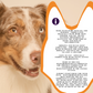 Piccardmeds4pets Hemp + MSM Joint Support Chews for Dogs and Cats 60CT + FREE Bandana!