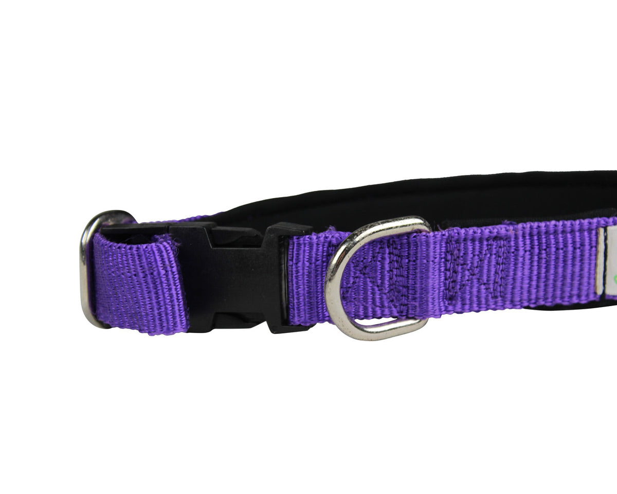 Collar ajustable y acolchado para perros cuteNfuzzy®