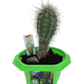 Sully 'The Desert King' Giant Saguaro Micro Dome Terrarium
