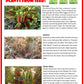 Carnivorous Creatures Biosphere Terrarium