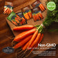 Carrot Seed Collection – Six Heirloom Garden Carrot Varieties for Fresh Eating, Juicing, Storage & Preserving