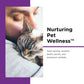 Cat Anti Diarrhea Liquid Pectin Kaolin Digestive Relief Upset Stomach