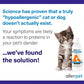 Cat Dander Remover Spray – Allergy Relief for Cats & Humans, Natural Chamomile & Rosemary, 12oz