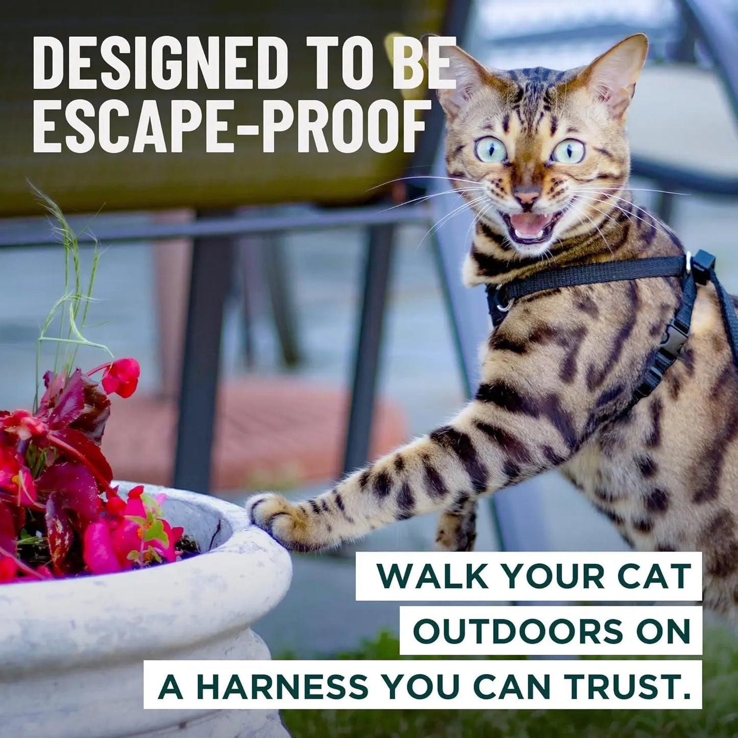 Cat Harness Escape Proof Adjustable Leash Set Reflective Walking Vest