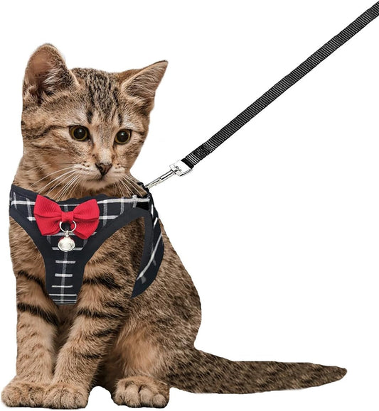 Cat Harness Leash Set Breathable Adjustable Mesh Vest