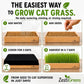 Self Watering Cat Grass Kit. The Easiest Way to Grow Cat Grass.