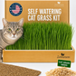 Self Watering Cat Grass Kit. The Easiest Way to Grow Cat Grass.