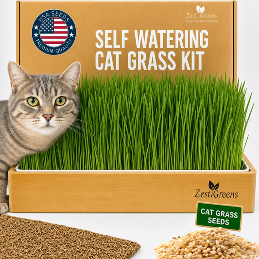 Self Watering Cat Grass Kit. The Easiest Way to Grow Cat Grass.