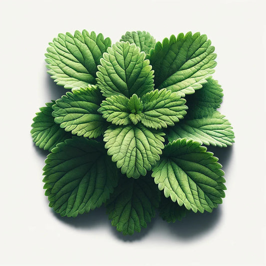 Catnip Seeds (4x)