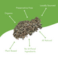 5 LB Catnip Bag