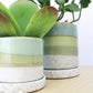 Cement Green Ceramic Plant Pot and Saucer