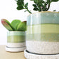 Cement Green Ceramic Plant Pot and Saucer