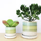 Cement Green Ceramic Plant Pot and Saucer