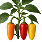 Lunchbox Mix Pepper Seeds (4x)