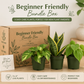 Beginner Friendly Mystery Bundle Box - 3 Easy-Care Plants