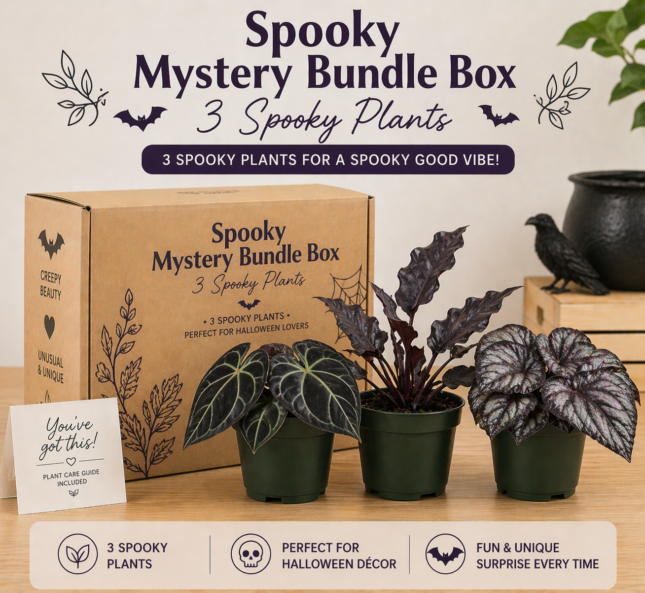 Spooky Mystery Bundle Box - 3 Spooky Plants