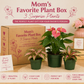 Mom's Favorite Plant Box - 3 Surprise Plants