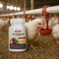 Durvet Vitamins & Electrolytes Supplement 100g Poultry & Livestock Water Soluble Premix