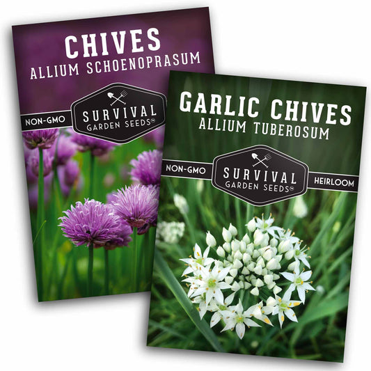 Chive Seed Collection – Common Chives & Garlic Chives for Flavorful, Pollinator-Friendly Herb Gardens
