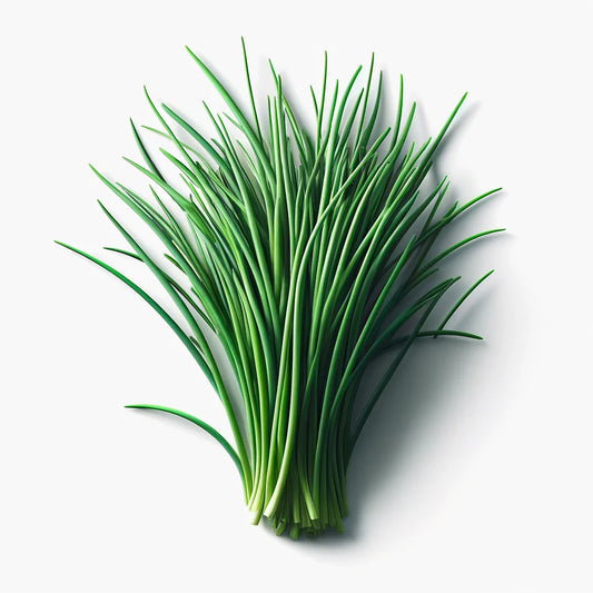 Chives (Staro) Seeds (4x)