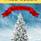 50 Colorado BLUE SPRUCE Tree Picea Pungens Glauca Christmas Tree White Silver Spruce Evergreen Seeds