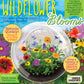 Wildflower Blooms Glass Terrarium Seed Starting Kit