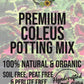 Coleus Premium Potting Mix