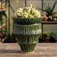 Kaleido Pottery