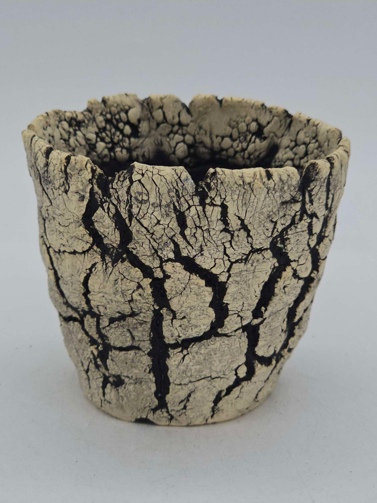 Cooked Earth