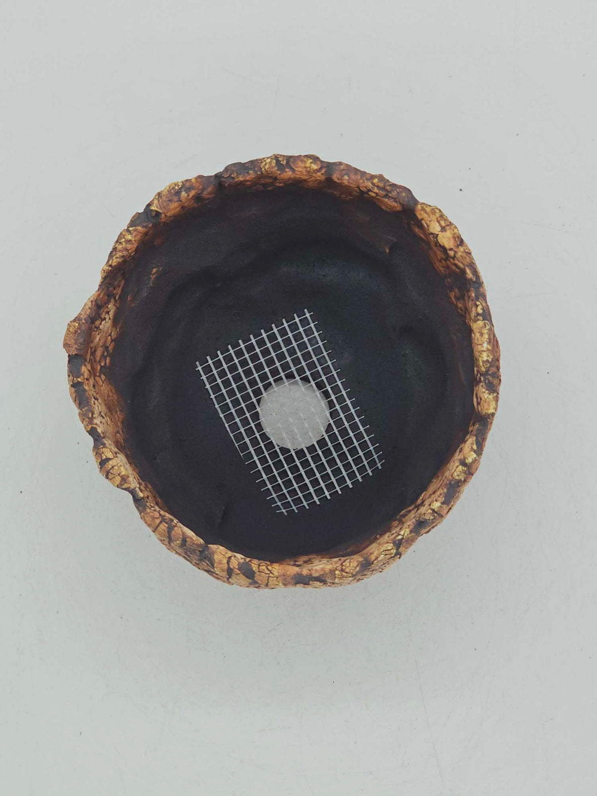 Cooked Earth