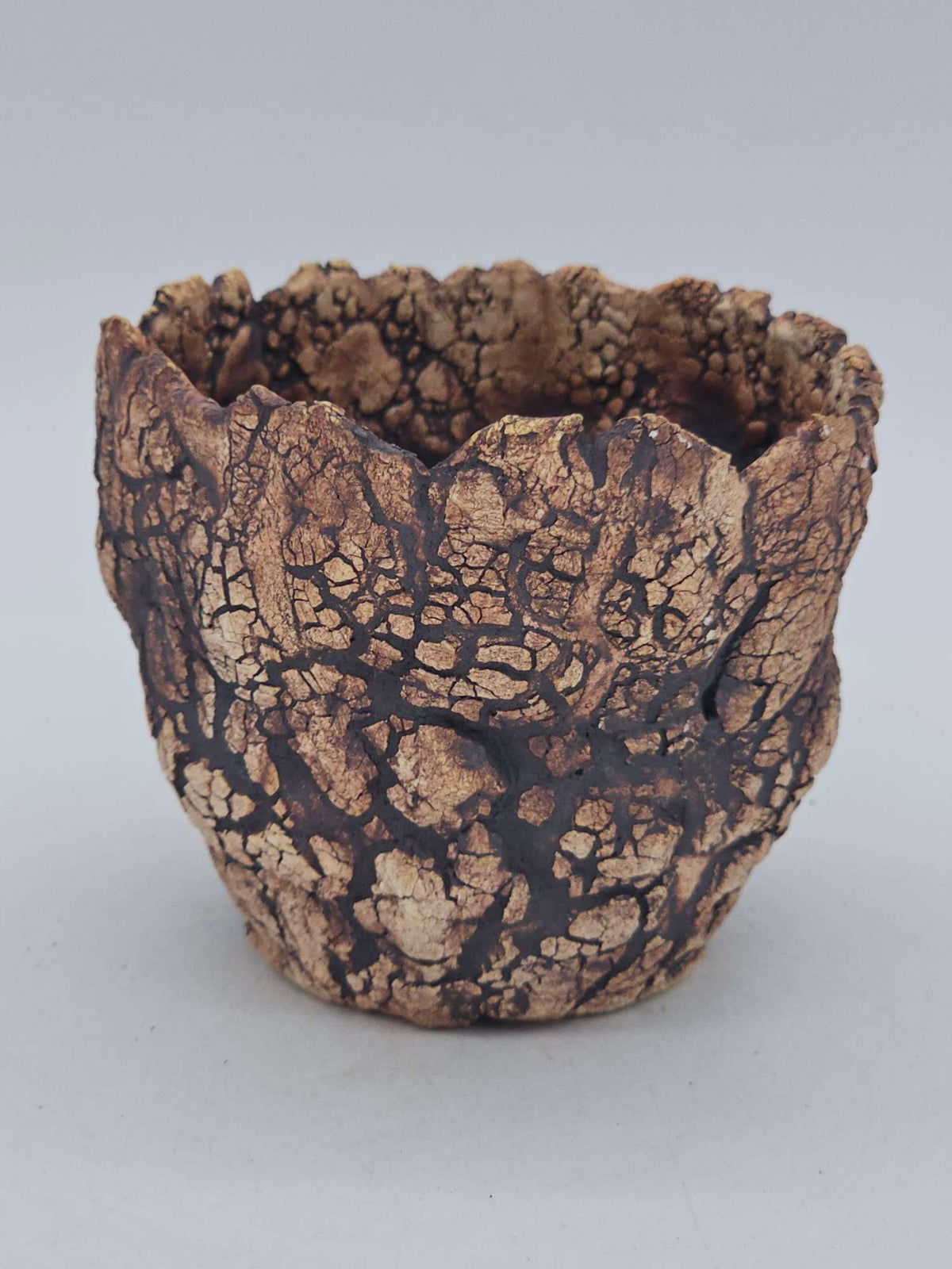 Cooked Earth