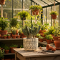 Peety Pots by Pablo