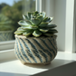 Peety Pots by Pablo