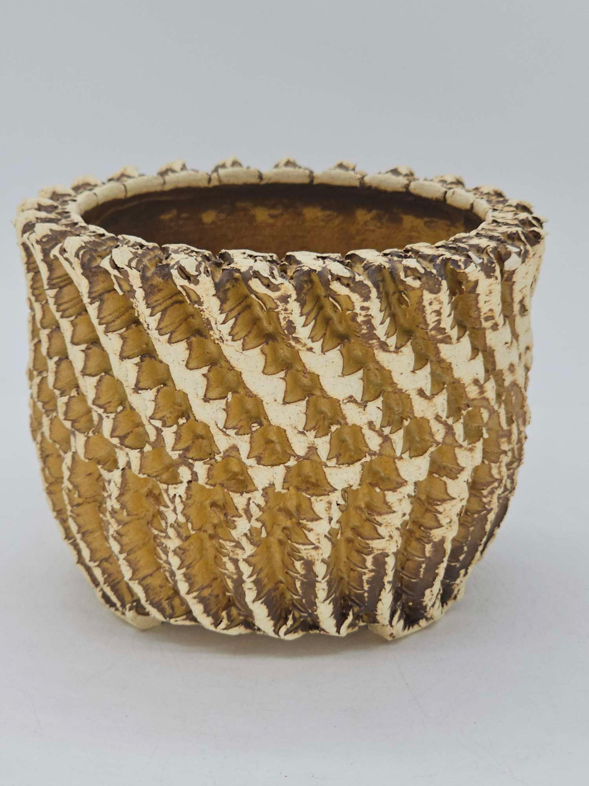 Peety Pots by Pablo