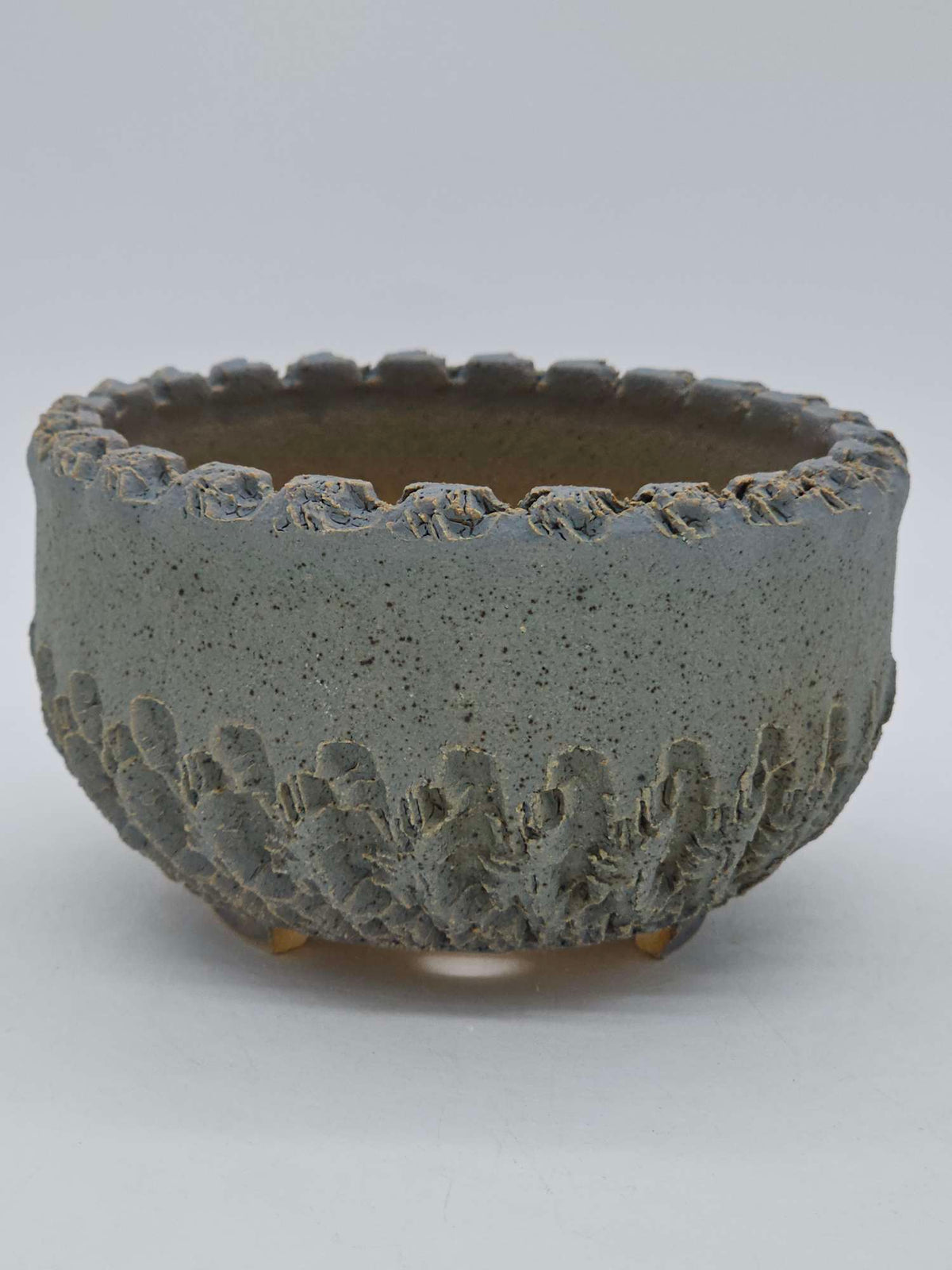 Peety Pots by Pablo